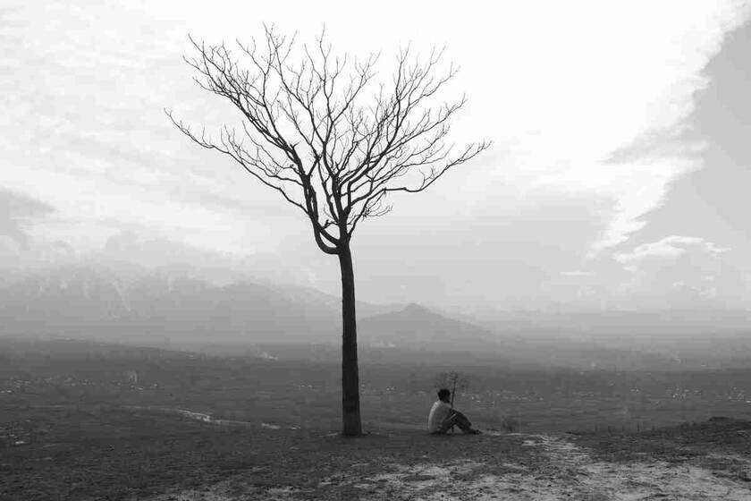 白细胞减少症的原因 猫咪白细胞低什么原因