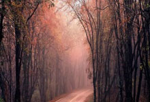 三医融合驱动医院药学转型：线上研讨会赋能医疗服务高质量发展