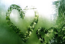 三医融合驱动医院药学转型：线上研讨会赋能医疗服务高质量发展