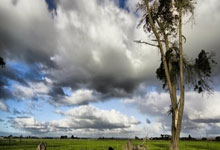 创新药艾泽利首批发货，聚焦晚期胃癌及肝转移难治人群