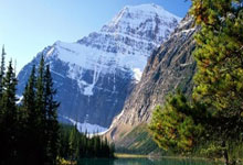 创新药艾泽利首批发货，聚焦晚期胃癌及肝转移难治人群