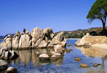 创新药艾泽利首批发货，聚焦晚期胃癌及肝转移难治人群